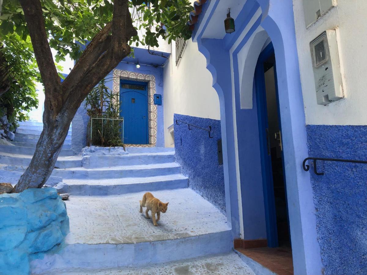 Dar Fatima Bed and Breakfast Chefchaouen Buitenkant foto